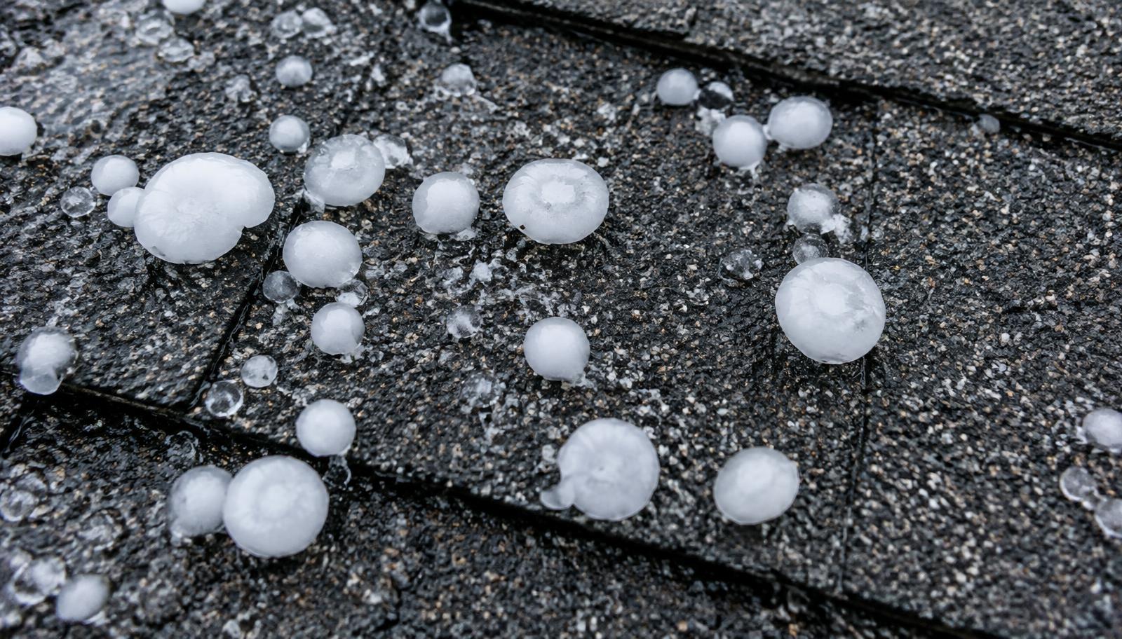 Hailstones resting on dark asphalt shingles after a storm