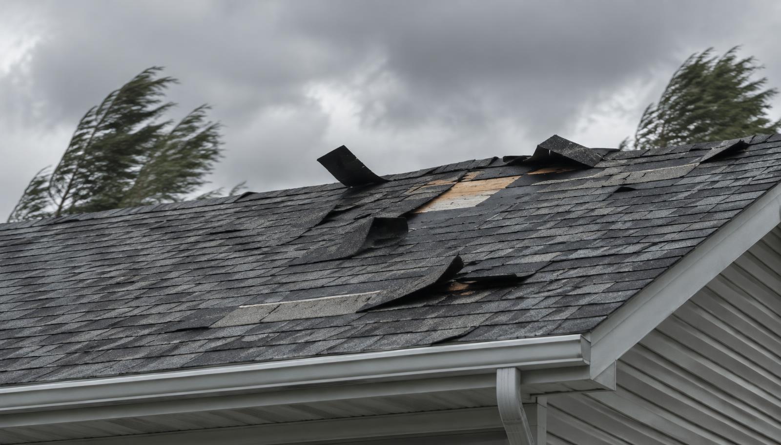 Shingles torn and lifted on a residential roof during high winds